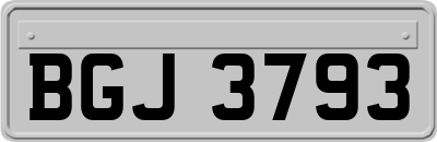 BGJ3793