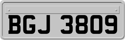 BGJ3809
