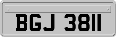 BGJ3811