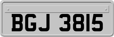 BGJ3815