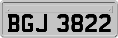 BGJ3822