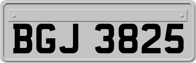 BGJ3825