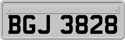 BGJ3828