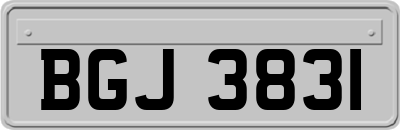 BGJ3831