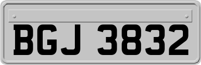 BGJ3832