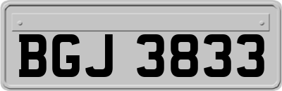 BGJ3833