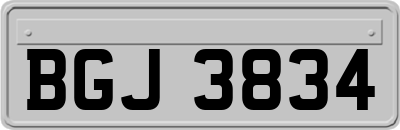 BGJ3834