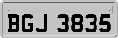 BGJ3835