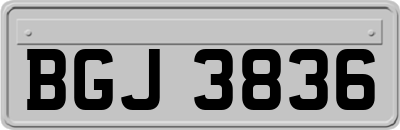 BGJ3836