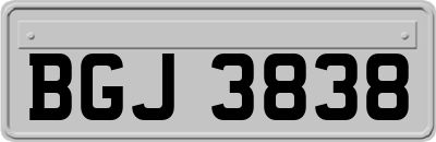 BGJ3838