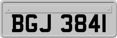 BGJ3841