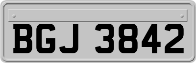 BGJ3842