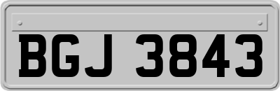 BGJ3843
