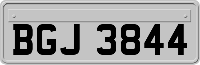 BGJ3844