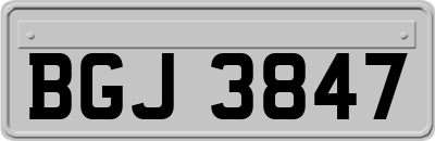 BGJ3847