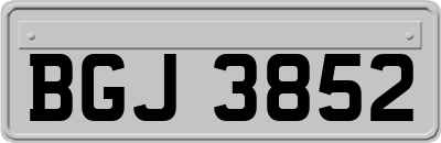 BGJ3852