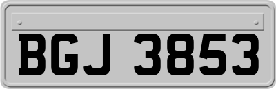 BGJ3853