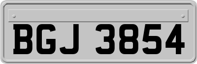 BGJ3854
