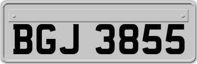 BGJ3855