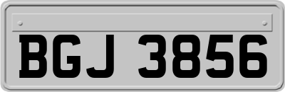 BGJ3856