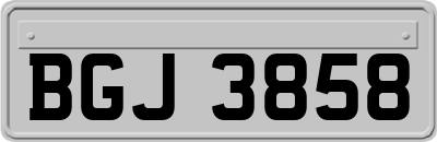 BGJ3858