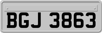 BGJ3863