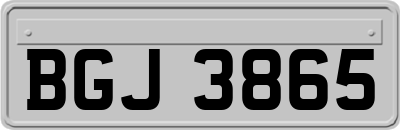 BGJ3865