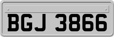 BGJ3866