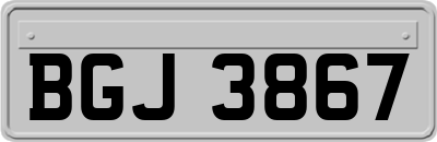 BGJ3867