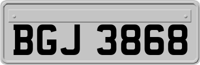 BGJ3868