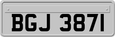 BGJ3871