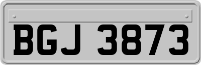 BGJ3873