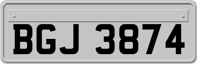 BGJ3874