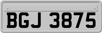 BGJ3875