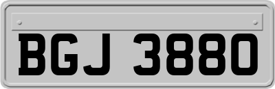BGJ3880