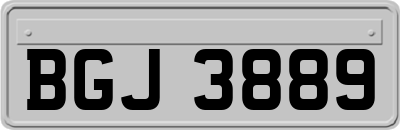 BGJ3889