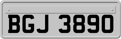 BGJ3890