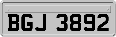 BGJ3892