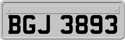 BGJ3893