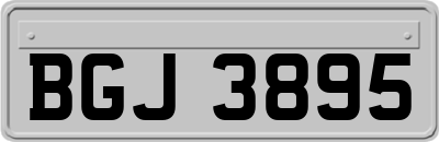 BGJ3895