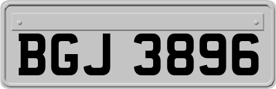 BGJ3896