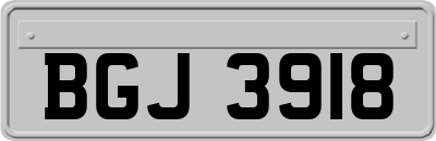 BGJ3918