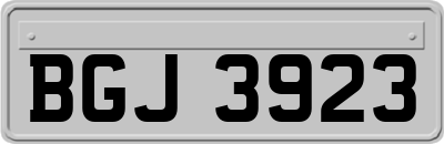 BGJ3923