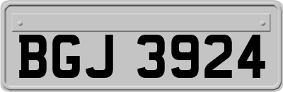BGJ3924