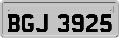 BGJ3925