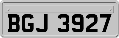 BGJ3927