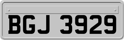BGJ3929