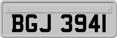BGJ3941