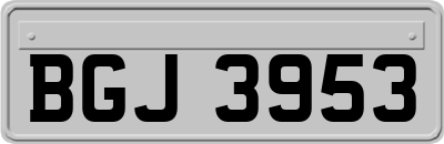 BGJ3953