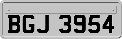 BGJ3954